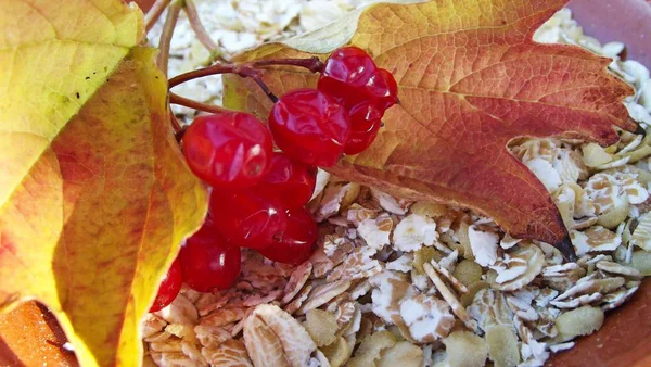 Oatmeal Bowl Fresh Berries — Stock Photo, Image
