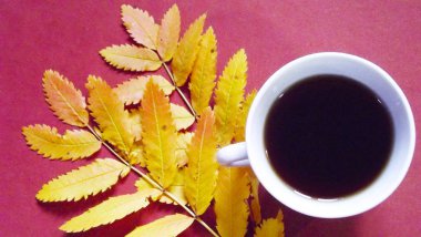 Bir fincan güzel kokulu çay ve pembe bir arka plan üzerinde sarı sonbahar yaprakları.