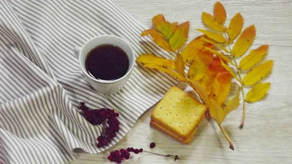 Чашка Ароматного Чая Сушеных Ягод Рядом Красочными Осенними Листьями — стоковое фото
