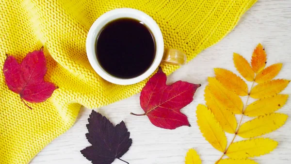 Una Taza Café Coloridas Hojas Otoño Sobre Fondo Amarillo —  Fotos de Stock