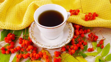 Yararlı ve lezzetli kırmızı dağ kül. İçecek dağ kül ve sarı eşarp.