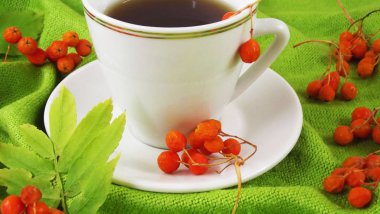 Yararlı ve lezzetli kırmızı dağ kül. Rowan içki ve yeşil bir eşarp.