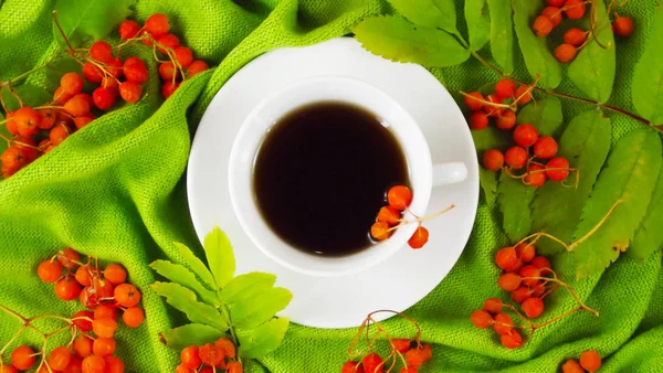 Nuttig Smakelijke Rode Mountain Ash Drinken Uit Rowan Een Groene — Stockfoto