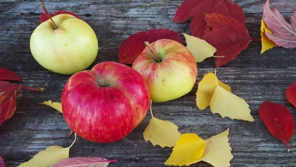 Świeże Jabłka Wielobarwny Liści Jesienią Podłoże Drewniane — Zdjęcie stockowe