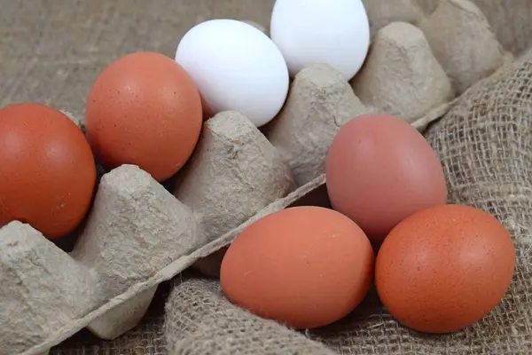 Huevos Frescos Arpillera — Foto de Stock