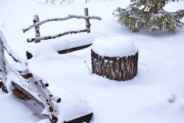 Huş ağacı ve güdük Kışın kar altında yapılan bir tablo banklar yapılmış.