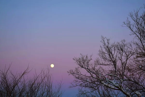 Volle Maan Prachtige Winterlandschap Ronde Maan Avondlucht — Stockfoto