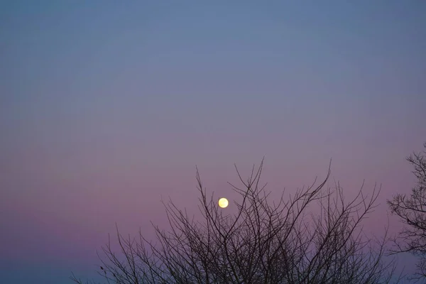 Full moon.Beautiful winter landscape.Round moon in the evening sky.