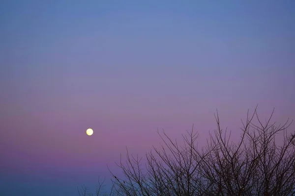 Volle Maan Prachtige Winterlandschap Ronde Maan Avondlucht — Stockfoto