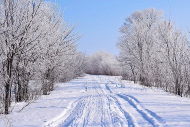 Güzel kış manzarası. Buz gibi güneşli gün. Doğal görünüm.