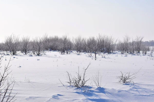 Bonita Paisagem Inverno Dia Ensolarado Gelado Vista Panorâmica — Fotografia de Stock