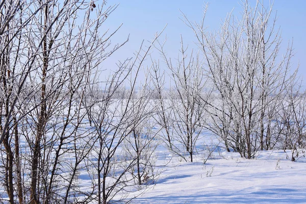 Bonita Paisagem Inverno Dia Ensolarado Gelado Vista Panorâmica — Fotografia de Stock