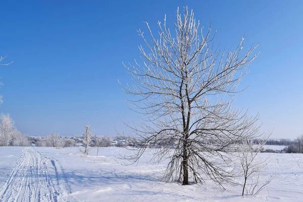 Bonita Paisagem Inverno Dia Ensolarado Gelado Vista Panorâmica — Fotografia de Stock