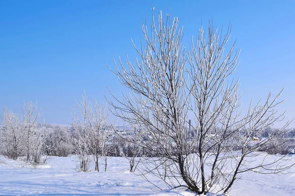 Bonita Paisagem Inverno Dia Ensolarado Gelado Vista Panorâmica — Fotografia de Stock