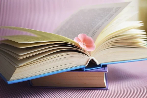 Books and pink flower on pink background.