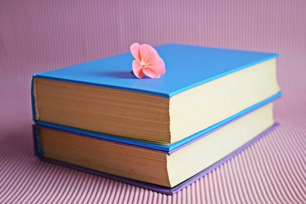 Books and pink flower on pink background.