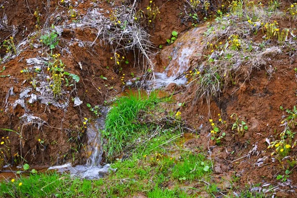 Riacho Nas Montanhas Natureza Primavera — Fotografia de Stock