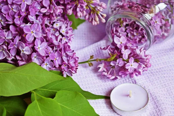 Lilac Flowers Jar Table Preparation Tincture Lilac Strengthen Immune System — Stock Photo, Image