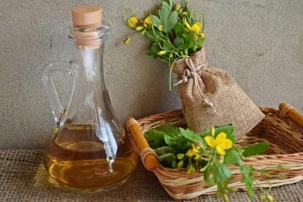 Hierba Medicinal Celidina Tintura Para Tratamiento — Foto de Stock