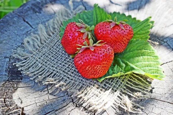 Morangos Frescos Doces Fundo Madeira Burlap Healthy Frutas — Fotografia de Stock