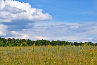 Güzel bulutlar ve yeşil çayırlara karşı mavi gökyüzü. Pitoresk yaz manzarası.