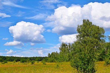 Güzel bulutlar ve yeşil çayırlara karşı mavi gökyüzü. Pitoresk yaz manzarası.