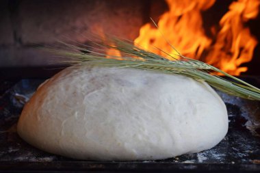 Fırında ev yapımı ekmek hazırlanması. Ekmek ve buğday kulakları.