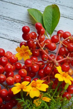 Yararlı berry viburnum, ahşap arka plan üzerinde.