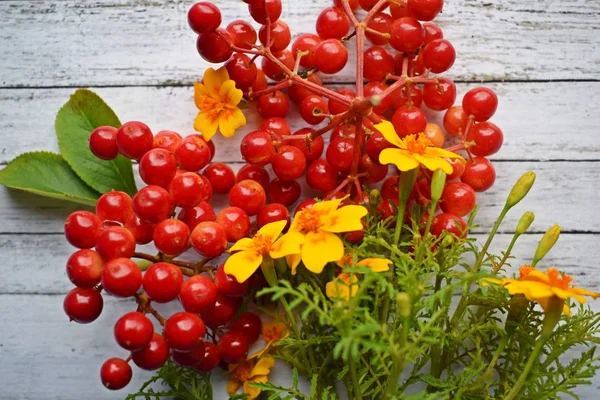 Useful Berry Viburnum Wooden Background — Stock Photo, Image