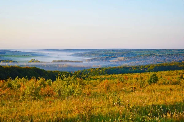 Misty field and forest Wake up to a new day. Early morning gives a calm and relaxing view of the countryside.