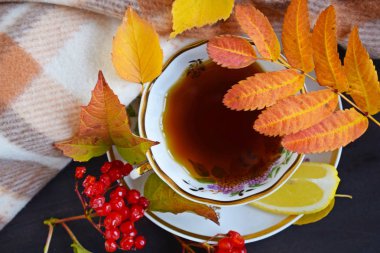Limonlu taze kokulu çay serin bir sonbahar gününde sizi ısıtacaktır. Sarı yapraklar ve sıcak bir atkı.