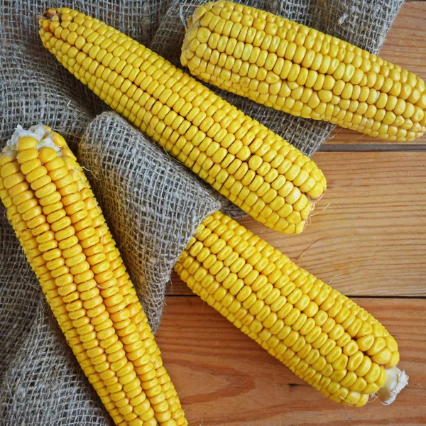 Fresh Corn Wooden Background — Stock Photo, Image