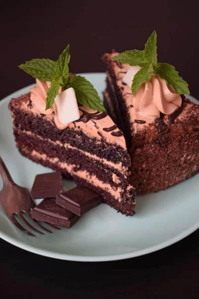 Вкусный Шоколадный Торт Сливками Веточкой Мяты Тарелке — стоковое фото