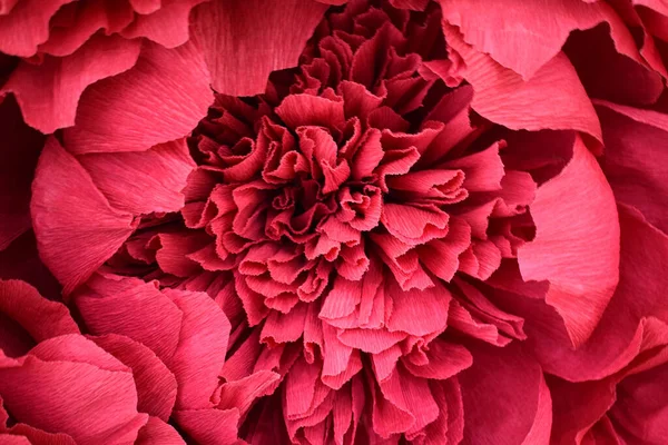 Rote Blume Hintergrund Dreidimensionale Blumen Aus Papier — Stockfoto