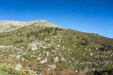 Rascafria, yanındaki de Penalara Lagoon, Guadarrama Dağları Milli Parkı'nda, il, Madrid, İspanya belediyesinde yastıklı çırpı (Juniperus communis subsp. alpina ve Cytisus oromediterraneus)