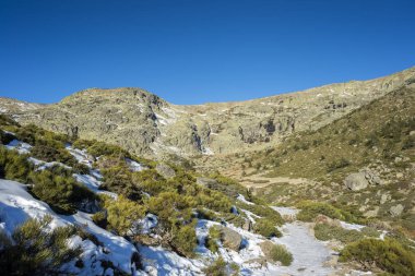 Rascafria, yanındaki de Penalara Lagoon, Guadarrama Dağları Milli Parkı'nda, il, Madrid, İspanya belediyesinde yastıklı çırpı (Juniperus communis subsp. alpina ve Cytisus oromediterraneus)