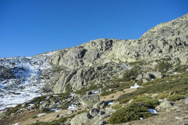 Rascafria, yanındaki de Penalara Lagoon, Guadarrama Dağları Milli Parkı'nda, il, Madrid, İspanya belediyesinde yastıklı çırpı (Juniperus communis subsp. alpina ve Cytisus oromediterraneus)