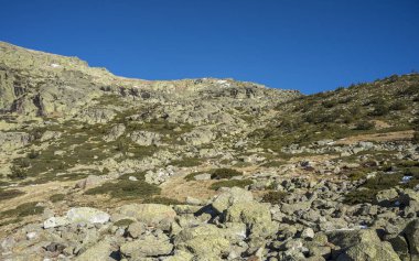 Rascafria, yanındaki de Penalara Lagoon, Guadarrama Dağları Milli Parkı'nda, il, Madrid, İspanya belediyesinde yastıklı çırpı (Juniperus communis subsp. alpina ve Cytisus oromediterraneus)