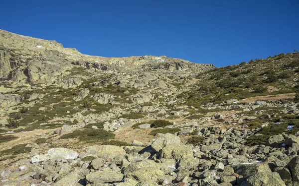 ペニャララ ラグーン グアダラマ山脈国立公園で マドリッドの州 スペインの横にある Rascafria の自治体にパッドを入れられた柴 ビャクシン透過したアルピナとエニシダ Oromediterraneus — ストック写真