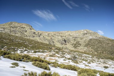 Rascafria, yanındaki de Penalara Lagoon, Guadarrama Dağları Milli Parkı'nda, il, Madrid, İspanya belediyesinde yastıklı çırpı (Juniperus communis subsp. alpina ve Cytisus oromediterraneus)