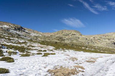 Rascafria, yanındaki de Penalara Lagoon, Guadarrama Dağları Milli Parkı'nda, il, Madrid, İspanya belediyesinde yastıklı çırpı (Juniperus communis subsp. alpina ve Cytisus oromediterraneus)