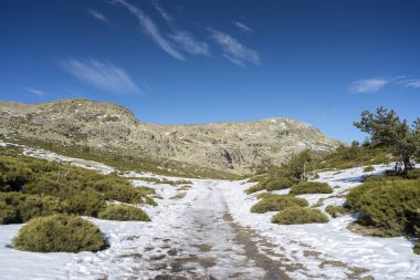 Rascafria, yanındaki de Penalara Lagoon, Guadarrama Dağları Milli Parkı'nda, il, Madrid, İspanya belediyesinde yastıklı çırpı (Juniperus communis subsp. alpina ve Cytisus oromediterraneus)