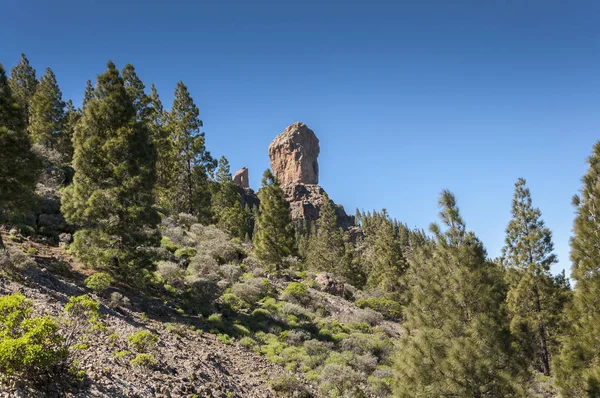 Gösterim Roque Nublo tepe (Clouded rock, Rock bulutlar), Nublo kırsal Park, Gran Canaria ada, Kanarya Adaları, İspanya iç