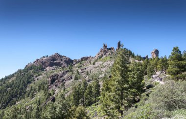 Kanarya adası çam ormanı, Nublo kırsal Park, Gran Canaria ada, Kanarya Adaları, İspanya iç Pinus canariensis. Arka planda olabilir Roque Nublo tepe gördüm (kaya, karanlık bulutlar rock).