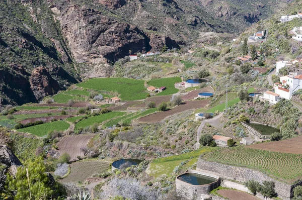 Irrigation Ponds Terraces Photo Taken Town Tejeda Interior Gran Canaria — Stock Photo, Image