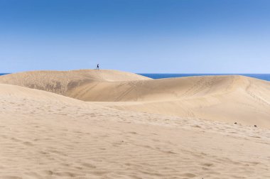Kıyı kumulları Maspalomas Beach, Maspalomas, Gran Canaria ada, Kanarya Adaları, İspanya, 19 Şubat 2017