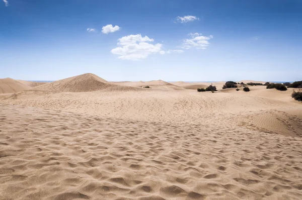 Przybrzeżnych Wydm Maspalomas Plaży Wyspie Gran Canaria Wyspy Kanaryjskie Hiszpania — Zdjęcie stockowe