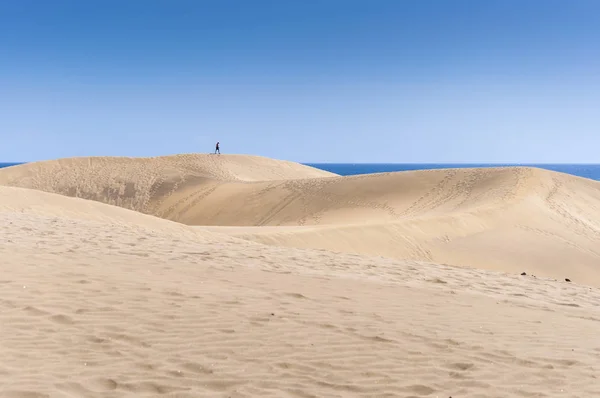 Kustnära Sanddyner Maspalomas Strand Maspalomas Gran Canaria Island Kanarieöarna Spanien — Stockfoto