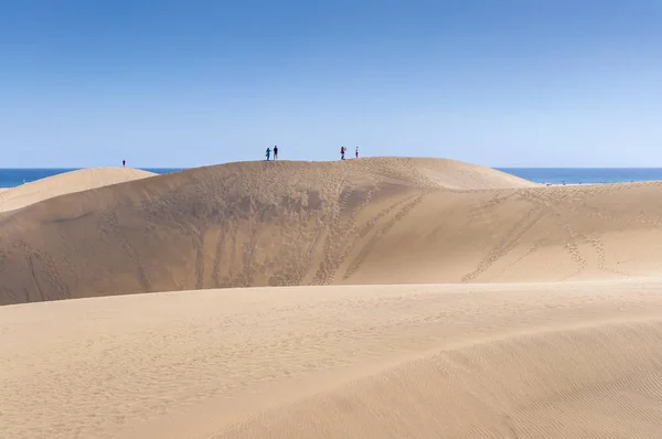 Прибережні Дюни Пляжу Maspalomas Острова Гран Канарія Канарські Острови Іспанія — стокове фото