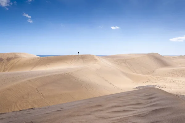 Kustnära Sanddyner Maspalomas Strand Maspalomas Gran Canaria Island Kanarieöarna Spanien — Stockfoto